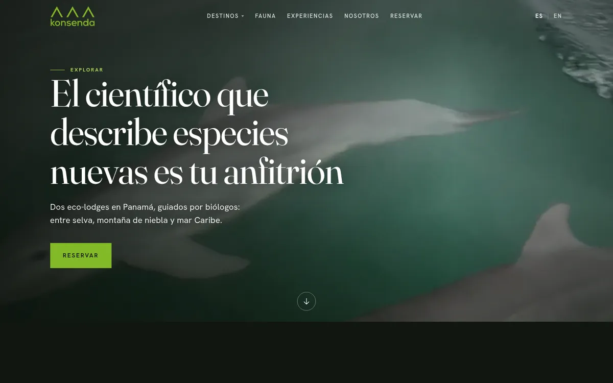 Sitio web de Konsenda